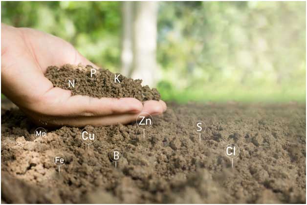 SOIL FITNESS WHY IT’S CRITICAL AND THE WAY TO GUARD IT