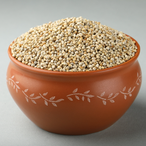 Pearl Millet/Bajra