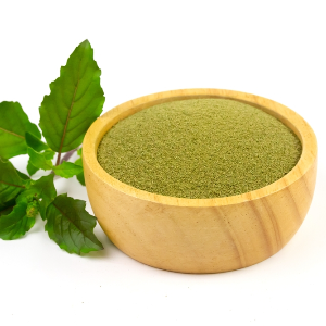 Tulsi powder