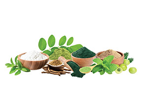 Dehydrated Herbs & Powders