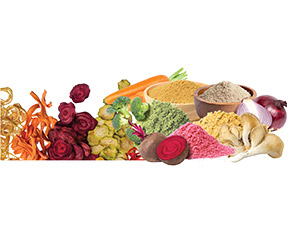 Dehydrated Vegetables & Powders