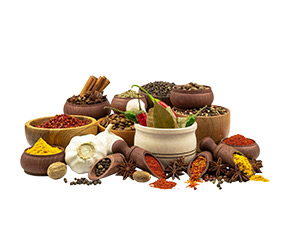 Spices & Spices Powder